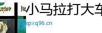小马拉打大车